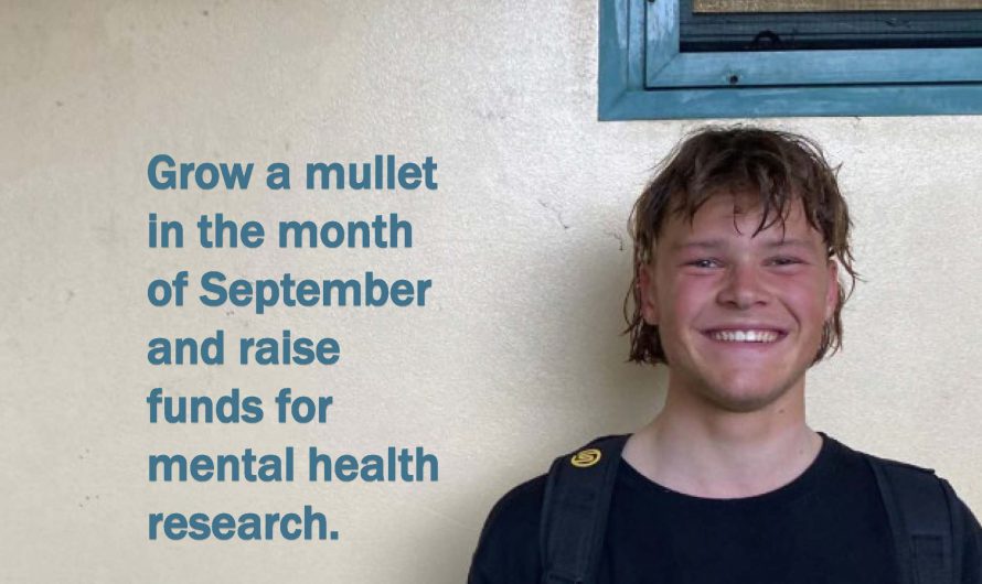 Mullets for Mental Health Month